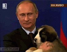 reverse-1302782342_putin-and-cute-puppy.gif